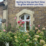 03-09-SpringIsThePerfectTimetoGrowWhereYouLive