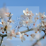 03-20-HelloSpring