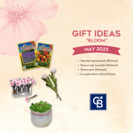 Bloom Gift Ideas